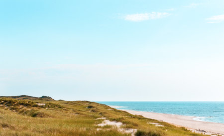 Nature scenery on Sylt island with the long beach, the marram grass dunes and the North Seaの写真素材