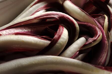Red radicchio from Trevisoの写真素材