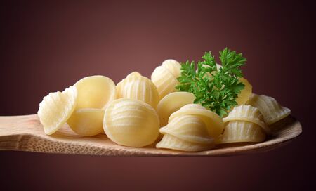 Apulian orecchiette Italian raw pastaの写真素材