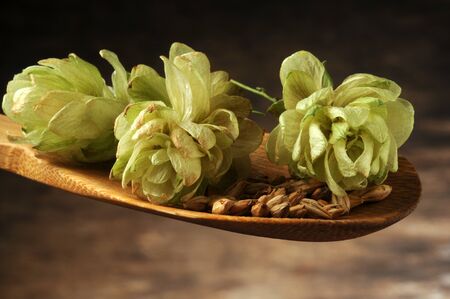 Close up of hops on the spoon