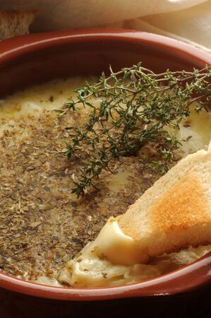Provolone cheese melted with oreganoの写真素材