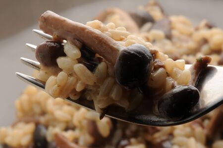 Risotto with poplar mushrooms on the forkの写真素材