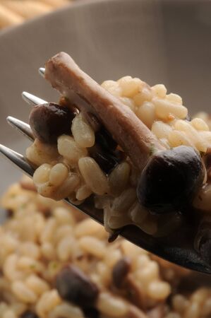 Risotto with poplar mushrooms on the forkの写真素材