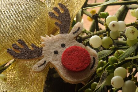 Close up of a mistletoe branchの写真素材