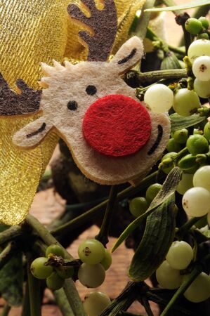 Close up of a mistletoe branchの写真素材
