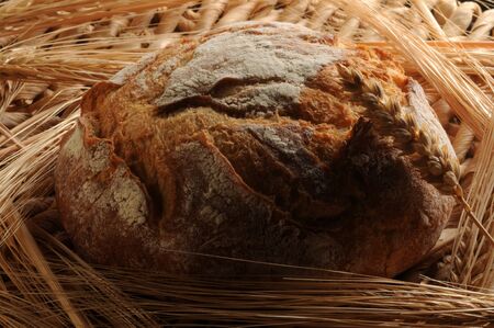 Close up of fresh bread with wheat