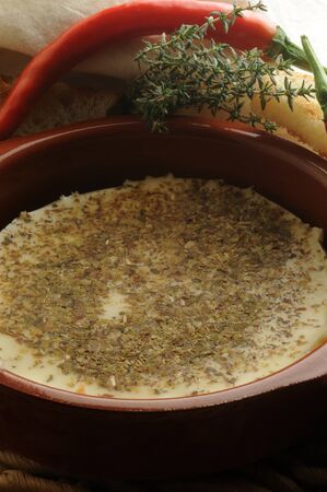 Provolone cheese melted with oregano and chilli pepperの写真素材