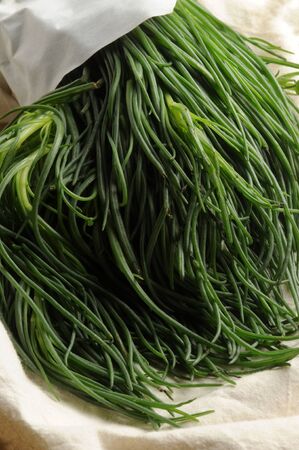 Close up on bunch of fresh agretti