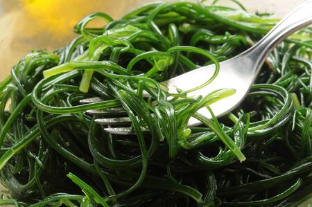 Close up on salad of fresh agretti