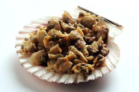 Close up of shelled clams in the scallop shell