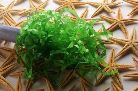 Close up on starfish with carnival trumpetの写真素材