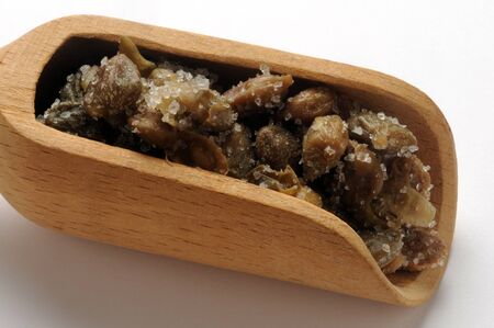 Capers under salt in the scoopの写真素材