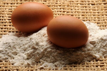 Chicken eggs with white flourの写真素材