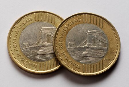 Close up on hungarian currency