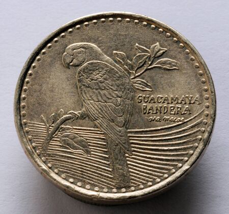 Closeup on colombian coin with parrotの写真素材