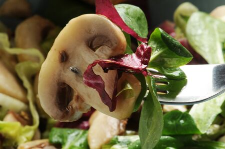 Close up on mushrooms saladの写真素材