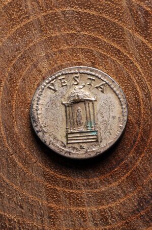 Ancient Roman coin on the tree