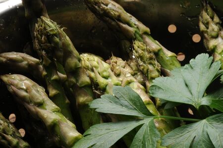 Closeup of green asparagus with parsleyの写真素材