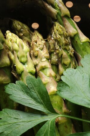Closeup of green asparagus with parsleyの写真素材