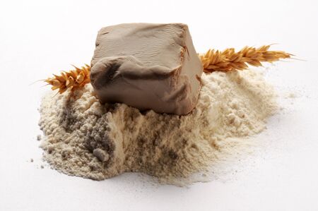 Cube of yeast beer on flourの写真素材