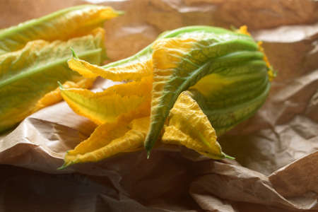 Courgette flower on paper backgroundの写真素材