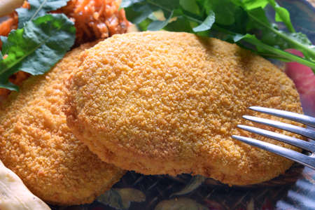Close up of gluten-based vegan steakの写真素材