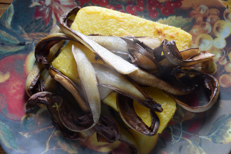Close up on polenta with red radicchioの写真素材
