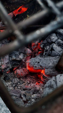 Fire bonfire wood branches burn cozy, close-up, contrast, ashes