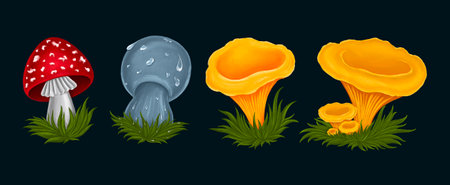 Forest mushrooms set hand drawn elements shapes for pattern stickersの写真素材