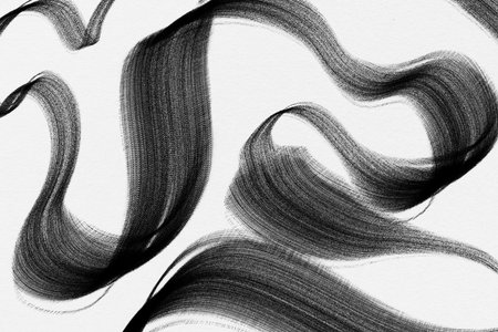 Bold line black white brushstroke acrylic watercolour charcoal ink hand drawn illustration lines abstract calligraphyの写真素材