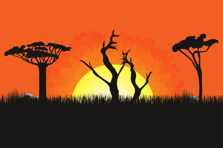 African landscape with trees and sun. Sunset on background. Savanna, prairies for wallpaper.のイラスト素材
