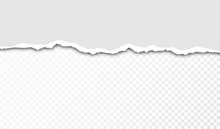 Torn paper with ripped edges and transparent space for you design. Paper texture with ripped edges and shadow. Horizontal banner template. Vectorのイラスト素材