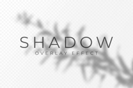 Shadow overlay effect. Transparent soft light and shadows from plant branches, leaves and foliage. Mockup of transparent shadow overlay effect and natural lightning. Vectorのイラスト素材