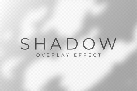 Shadow overlay effect. Transparent soft light and shadows from plant branches, leaves and foliage. Mockup of abstract transparent shadow overlay effect and natural lightning scene. Vectorのイラスト素材