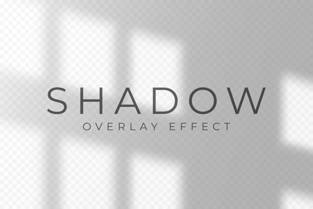 Shadow overlay effect. Transparent soft light and shadow from window frame, natural lighting scene. Mockup of abstract transparent shadow overlay effect and natural lightning. Vectorのイラスト素材
