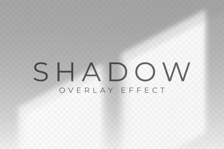 Shadow overlay effect. Transparent soft light and shadow from window frame, natural lighting scene. Mockup of abstract transparent shadow overlay effect and natural lightning. Vectorのイラスト素材
