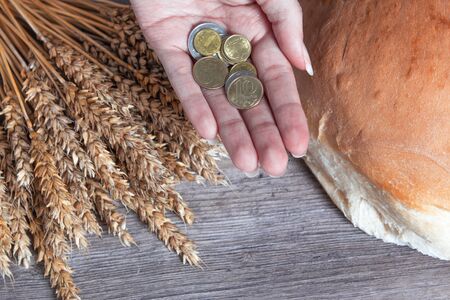 Women's hands hold Kazakhstan tenge coins over a table with wheat ears and bread. Bread products in Kazakhstan and Kazakhstan wheat.の写真素材