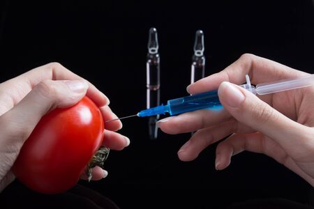 Scientist testing GMO plant in laboratory on tomato-biotechnology and GMO concept. GMO genetically modified food. Hands holding a tomato and a syringe with a blue drug on the background with ampoulesの写真素材