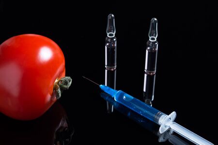 Testing GMO plant in laboratory on tomato - biotechnology and GMO concept. GMO genetically modified food. Tomato and syringe with blue drug on a black background with ampoules.の写真素材