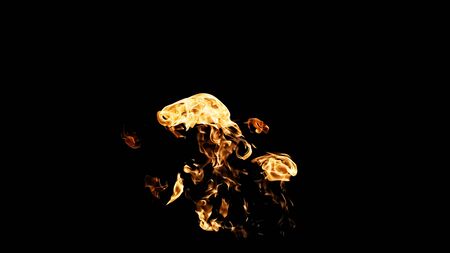 Fire flames on black background. fire on black background isolated. fire patternsの写真素材