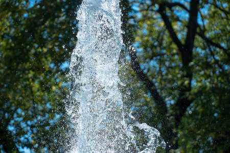 Abstract of water. Water splash close-up.Frozen water drops on the background of green trees.The slow dripping of the liquid with the air bubbles.Nature background or Wallpaper.Frozen liquid splashesの写真素材