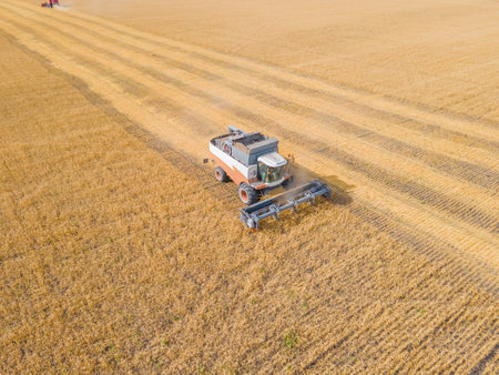 Harvest wheat grain and crop aerial view.Harvesting wheat,oats, barley in fields,ranches and farmlands.Combines mow in the field.Agro-industry.Combine Harvester Cutting on wheat filed.Machine harvestの写真素材