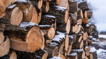 Side view of stacked wooden sawn logs covered with snow. Firewood laid out in several rows. Wooden...