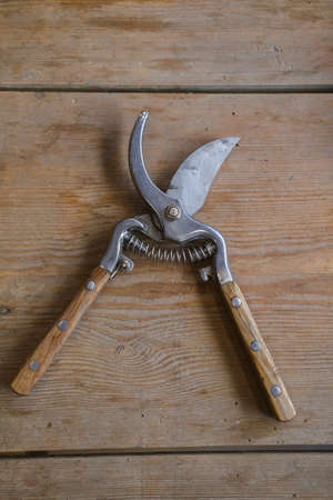 The pruner is lying on a wooden tableの写真素材