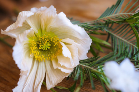 Spring white flowers with green leaves on a wooden table. Freshの写真素材
