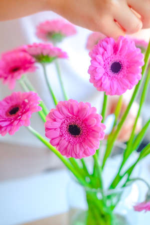 Hands of a person cutting with knife a green and pink flowers
