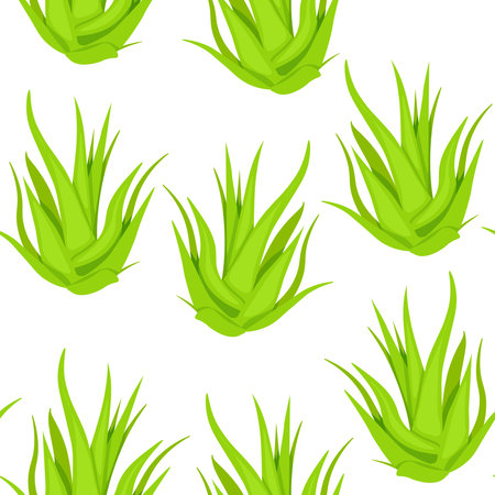 Seamless pattern laconic from aloe vera plant on a white backgroundのイラスト素材