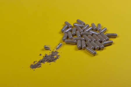 Green lipped mussels extract pills on a yellow background and open capsule with extract powder. Biologically active supplementsの写真素材