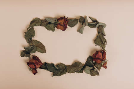 Square frame with red withered dry red rose and green leaves on a beige background. Top view floral...