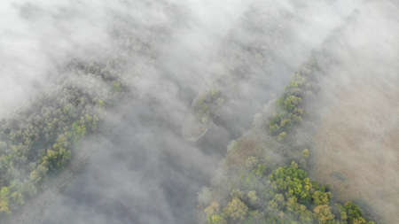 Top aerial view of the estuary of the river with green and yellow trees on the banks. Everything is covered in fog. Forest ecosystem, healthy environment. Ukraine, Europeの写真素材